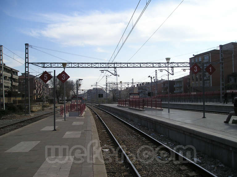 Renfe / ADIF: Molins de Rei - 2005