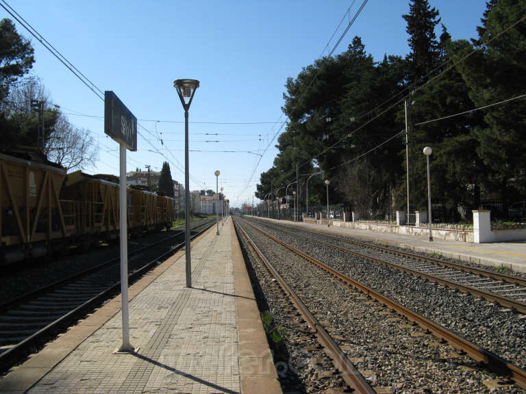 Renfe / ADIF: Salou - 2008