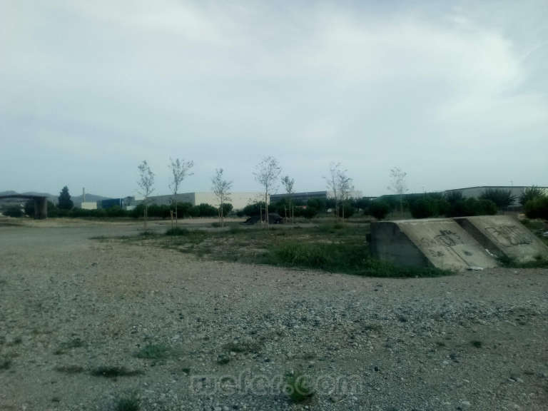 Renfe / ADIF: Tortosa mercancías - 2019