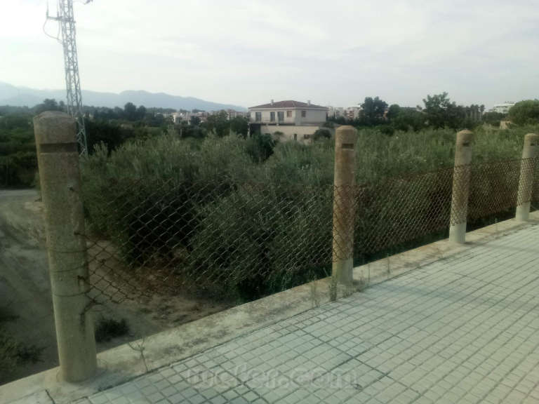 Renfe / ADIF: Tortosa mercancías - 2019