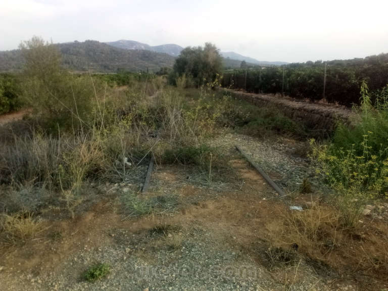 Renfe / ADIF: Tortosa mercancías - 2019