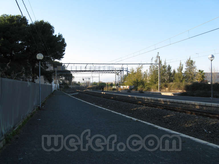 Renfe / ADIF: Vila-seca - 2008