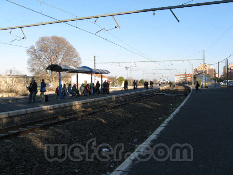 Renfe / ADIF: Vila-seca - 2008