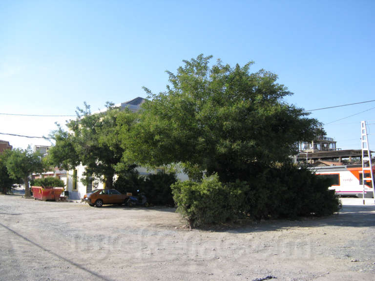 Renfe / ADIF: Flix - 2010