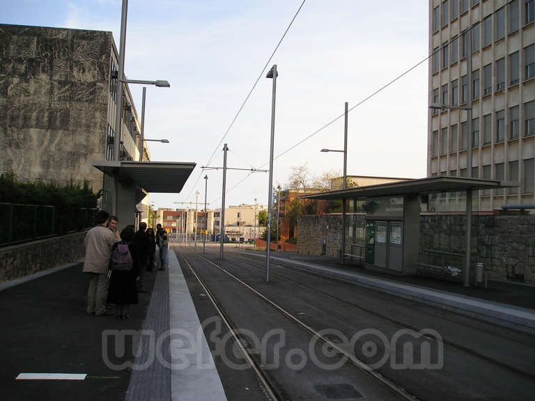 Trambaix - 2005