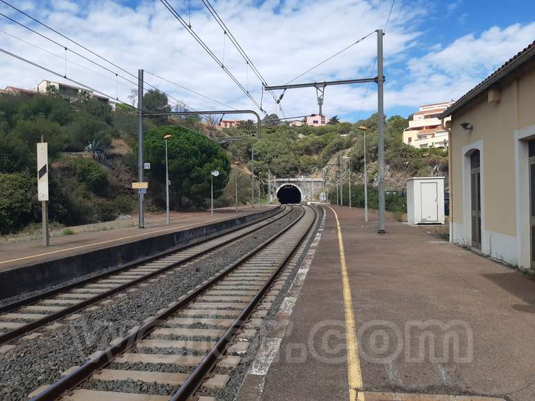 SNCF: Cotlliure (Collioure)