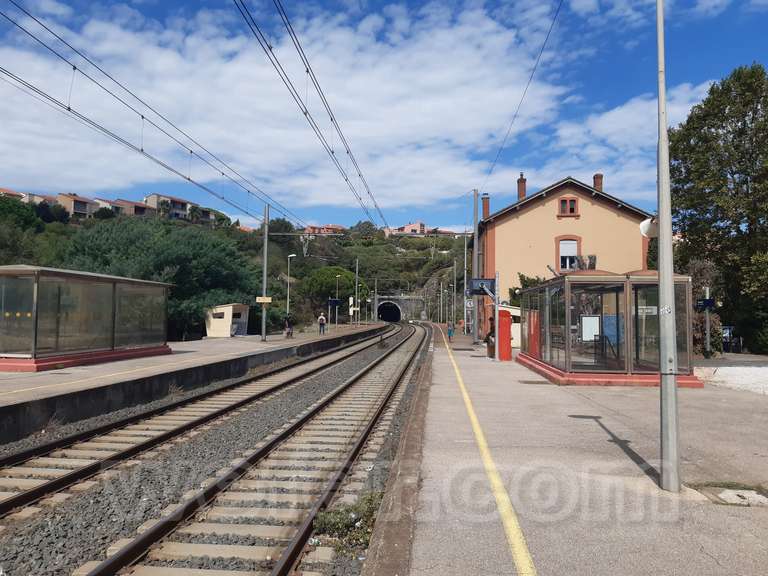 SNCF: Cotlliure (Collioure)