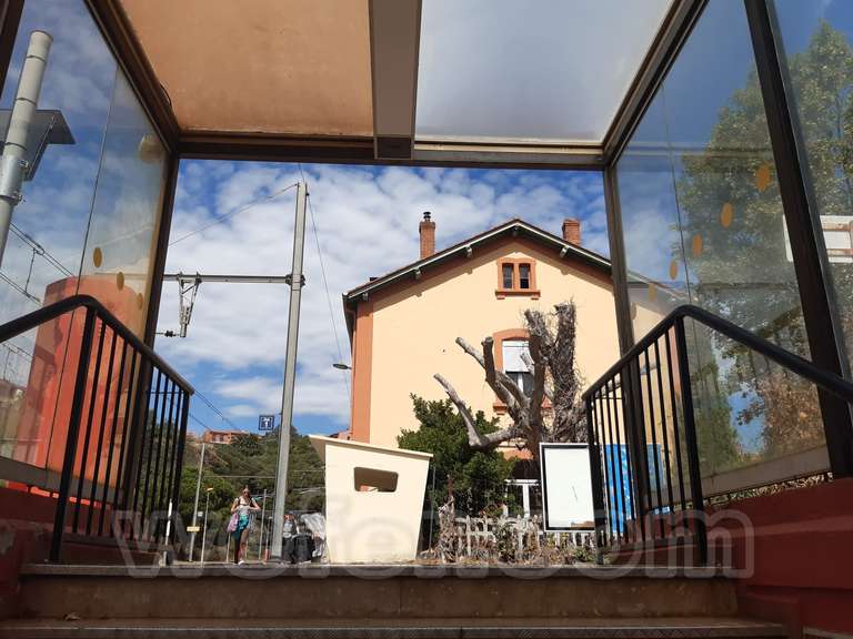 SNCF: Cotlliure (Collioure)