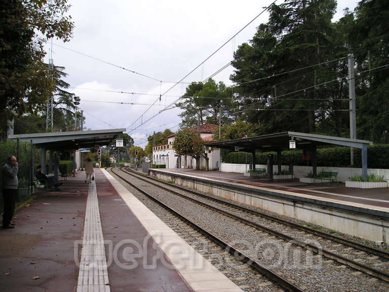  FGC Les Fonts - Novembre 2004