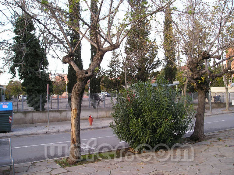 FGC Sabadell Estació - Desembre 2004