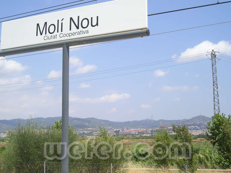 FGC Molí Nou - Juny 2004