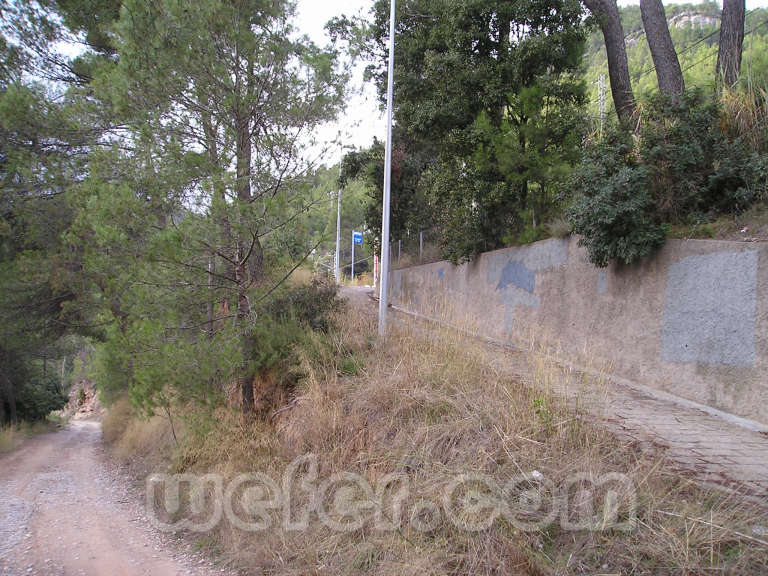 FGC Castellbell i el Vilar - Desembre 2004